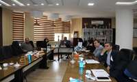 تغییر نگرش فرزندآوری در جامعه نیازمند کار فرهنگی است