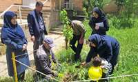تجلیل از کارکنان پیشرو در مسیر جوانی جمعیت در مرکز بهداشت همدان